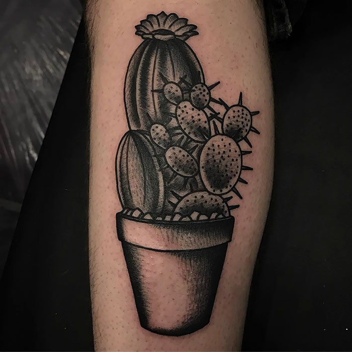 Succulent tattoo design featuring various cacti in a pot, showcasing intricate details on the forearm.