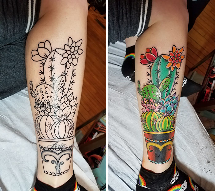 Succulent tattoo on a leg, showing both black and white outline and colorful finished design.