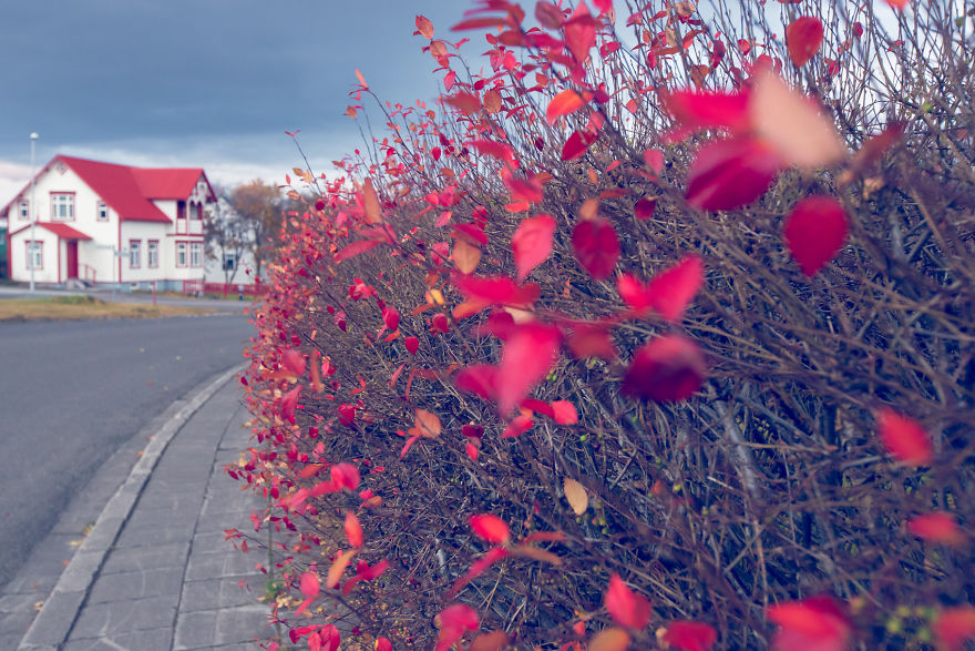 Our Trip To Iceland With My Dad Who Is An Als Patient