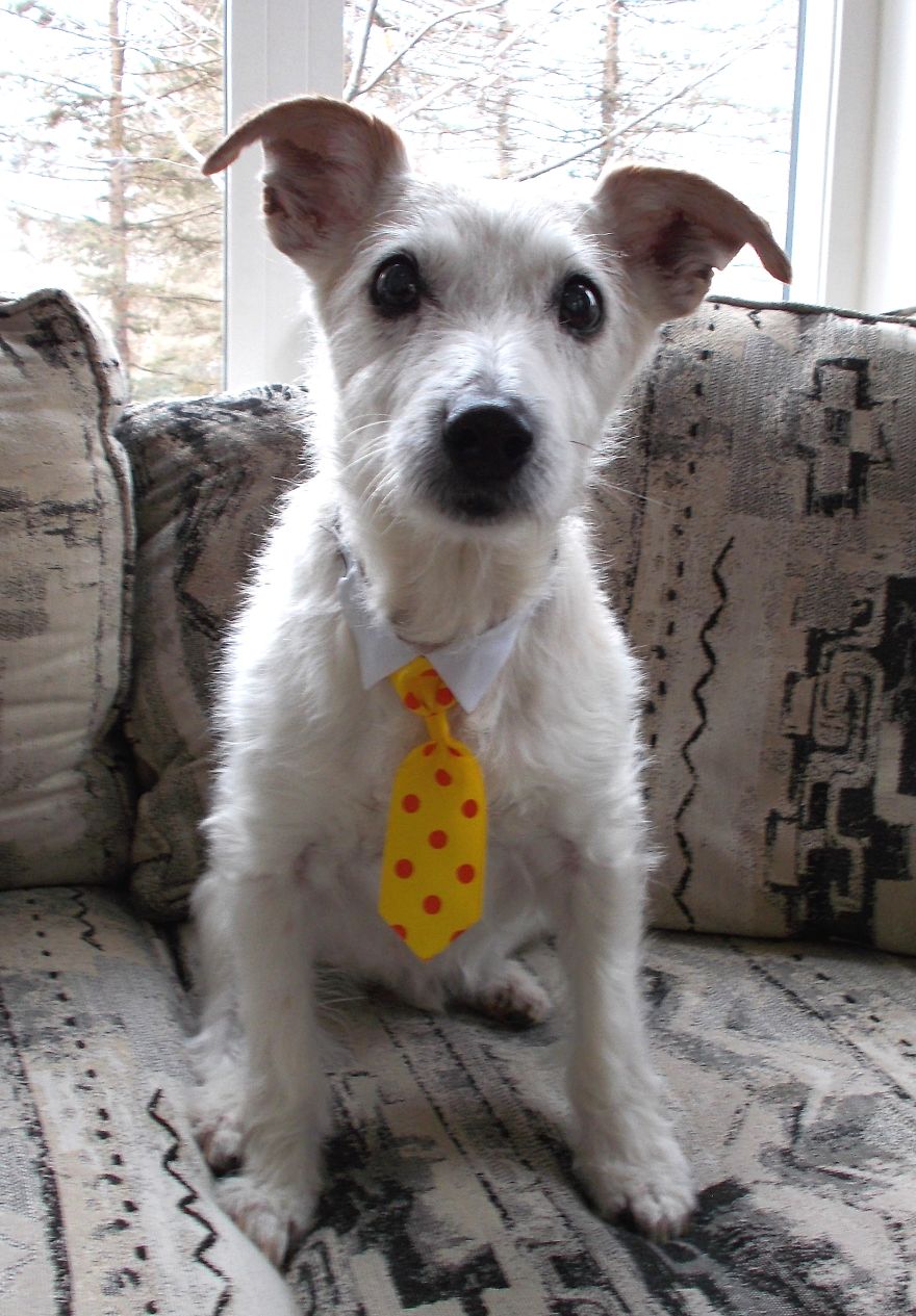 Nelson, 15 Years, Blakeslee, Pa