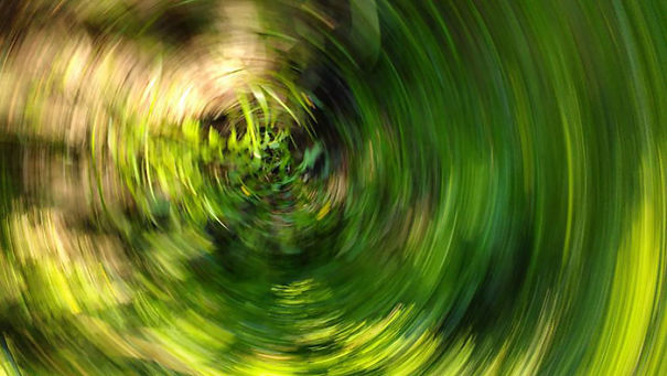 Dropped My Phone, It Bounced Off The Trail And 20 Feet Down The Side Hill Through The Vegetation. It Was On A Camera Timer