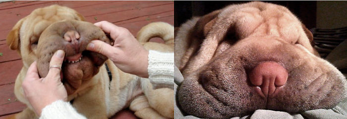 This Is My Squissy Face Girl Tucher :)