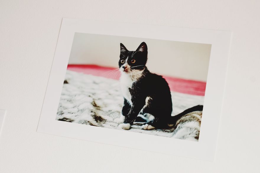 Photo From Exhibition, Thanks For Photo To Anna Lastovska