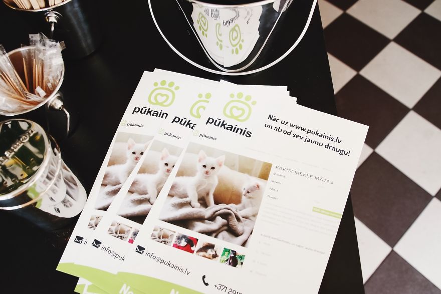 Photo From Exhibition, Thanks For Photo To Anna Lastovska