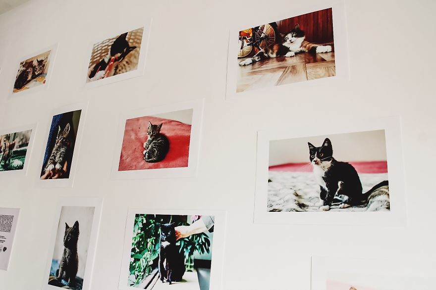 Photo From Exhibition, Thanks For Photo To Anna Lastovska