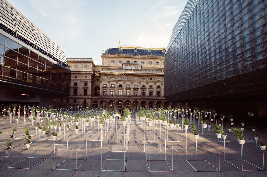 We Made This Installation Our Of 1000 Plants And 1,6 Tonnes Of Metal Construction We Made This Installation Our Of 1000 Plants And 1,6 Tonnes Of Metal Construction