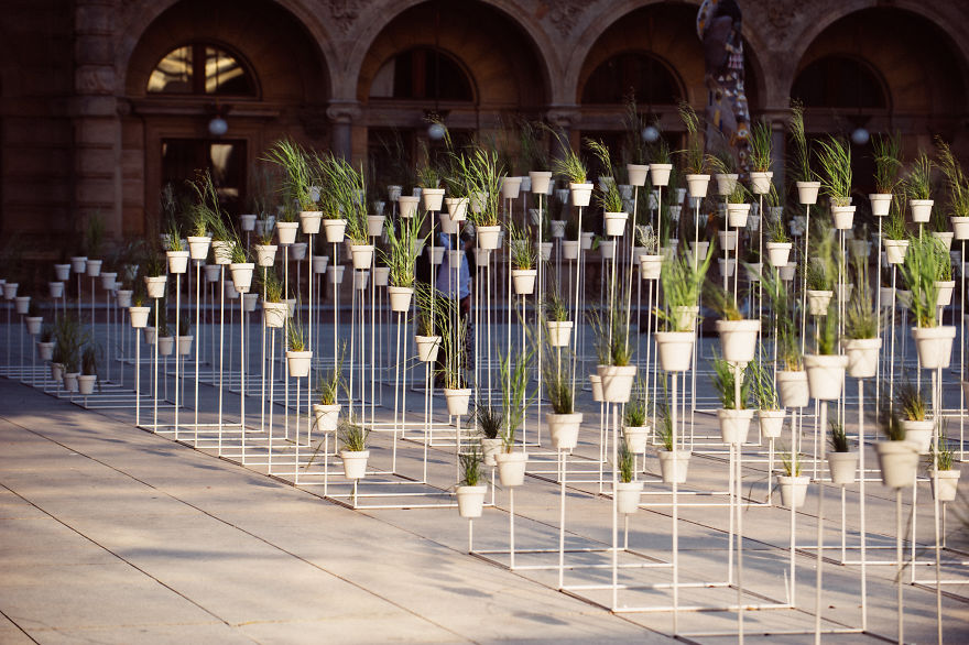 We Made This Installation Our Of 1000 Plants And 1,6 Tonnes Of Metal Construction We Made This Installation Our Of 1000 Plants And 1,6 Tonnes Of Metal Construction