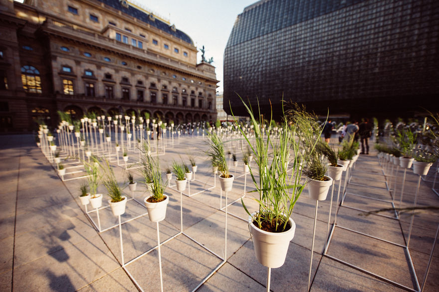 We Made This Installation Our Of 1000 Plants And 1,6 Tonnes Of Metal Construction