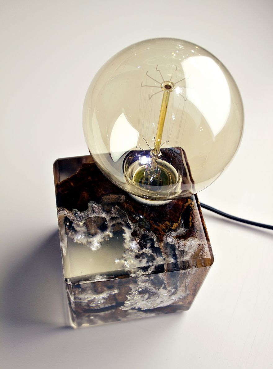 We Found A Way To Bring A Portion Of Nature To Your Home We Found A Way To Bring A Portion Of Nature To Your Home