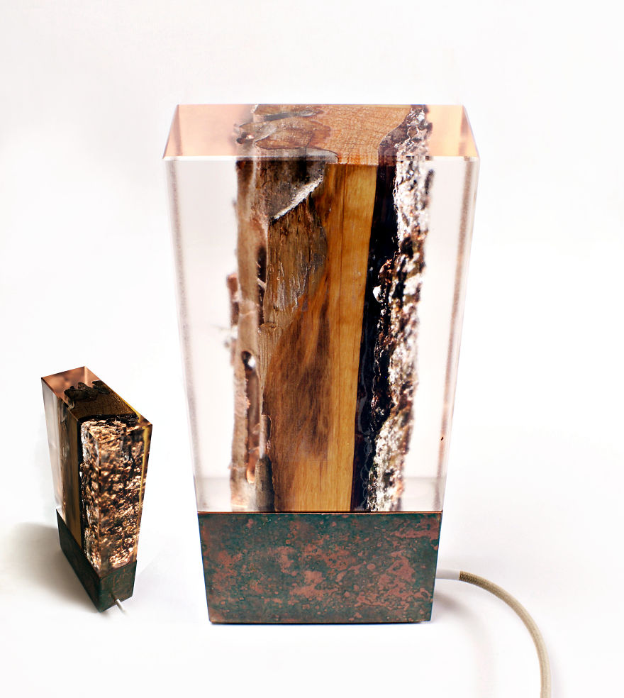 We Found A Way To Bring A Portion Of Nature To Your Home