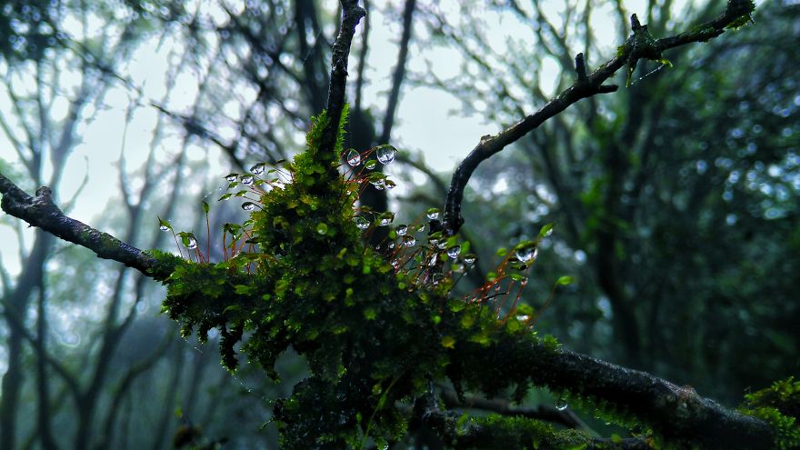 When You Have A 140$ Phone But Passion To Turn It Into A 1000$ Camera