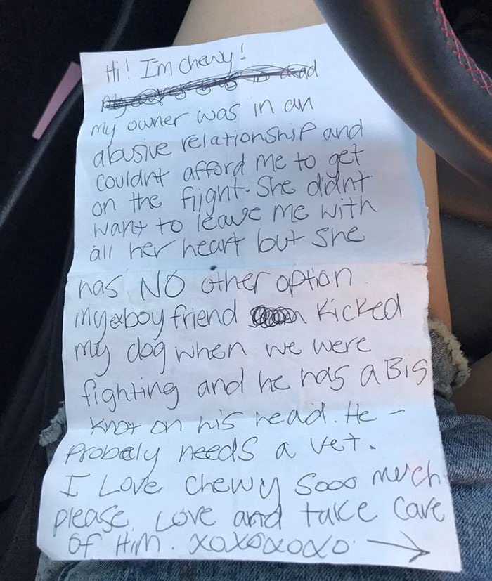 Puppy Abandoned At The Airport Had A Heartbreaking Note From His Owner, And It'll Make You Cry Puppy Abandoned At The Airport Had A Heartbreaking Note From His Owner, And It'll Make You Cry