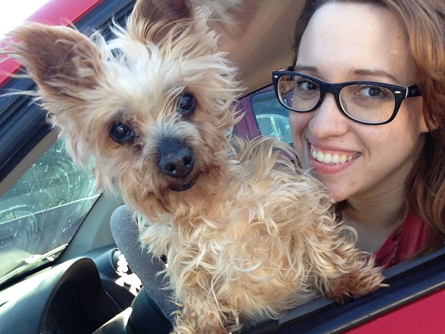 Abby (2002-2015), My Blind, Deaf Social Butterfly