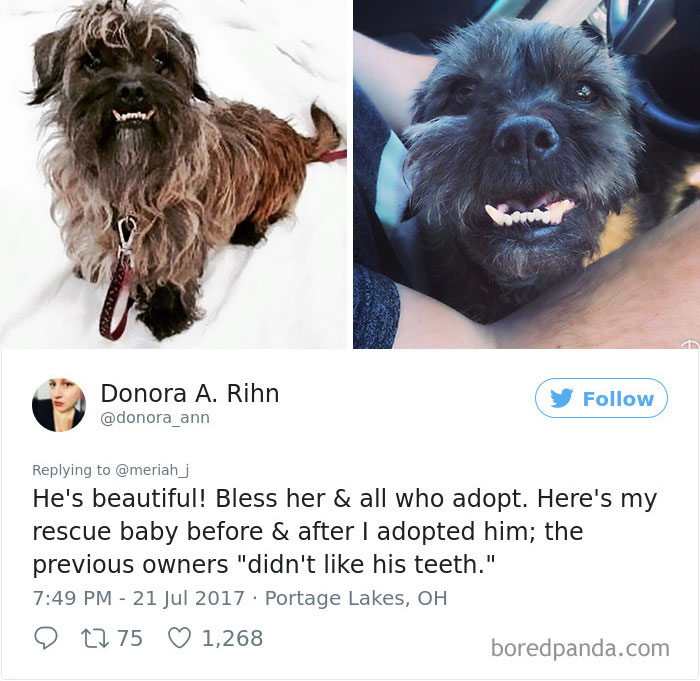 "My Sister Adopted Her Very First Dog And His Before & After Pics Have Me Crying" "My Sister Adopted Her Very First Dog And His Before & After Pics Have Me Crying"