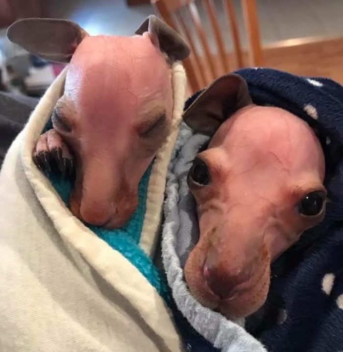 Rescuers Rush To A Car Accident, Then They See The Tiniest Hand Reaching For Help Rescuers Rush To A Car Accident, Then They See The Tiniest Hand Reaching For Help