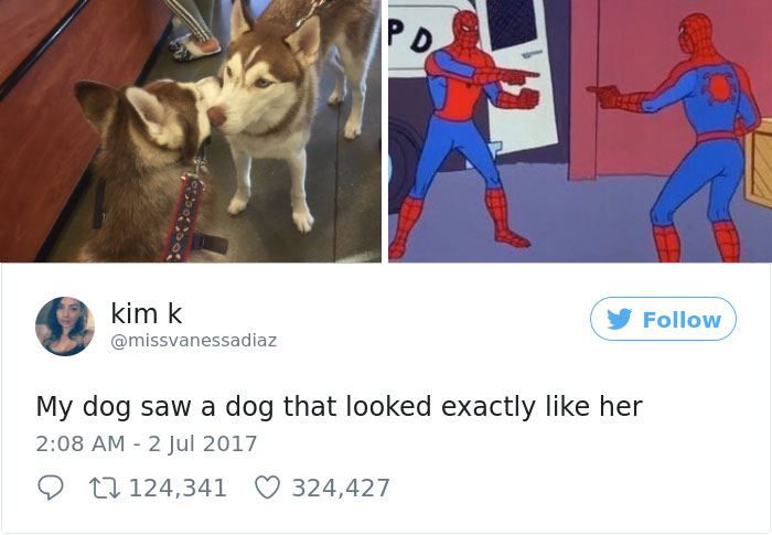 Woman Tweets Of 2017