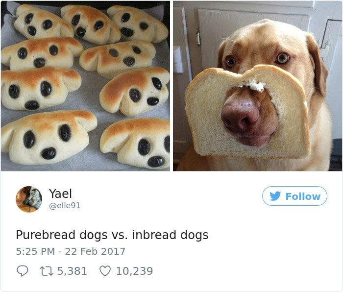 Best-woman-tweets-2017