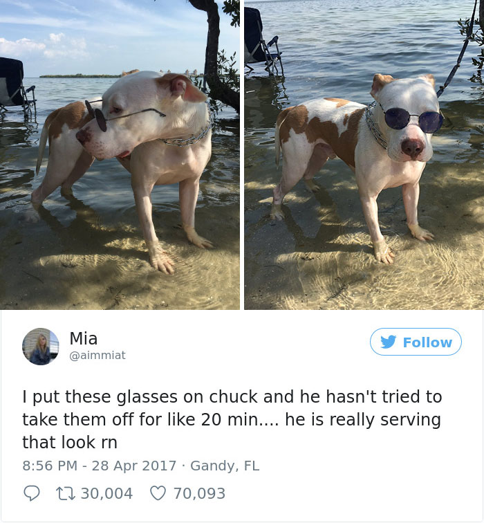 Best-woman-tweets-2017