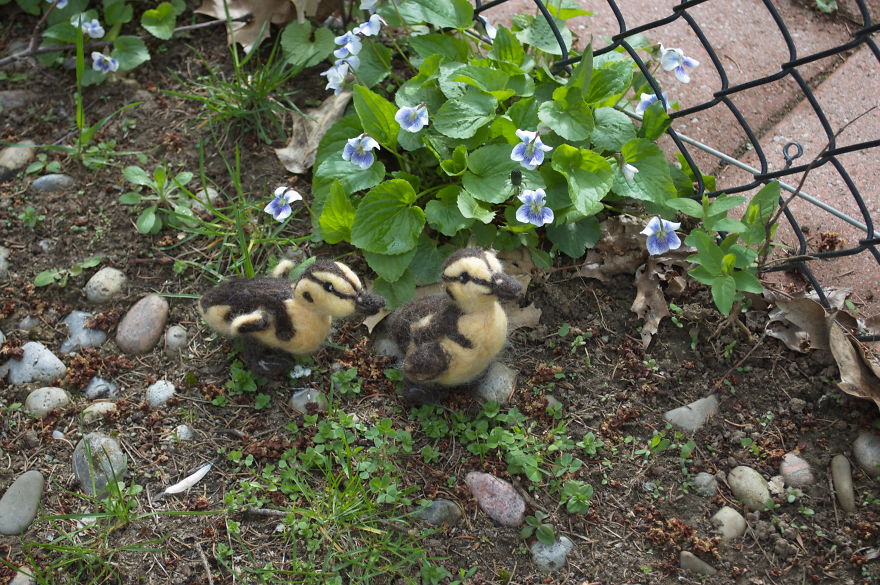 I Create Realistic Needle Felted Animals Out Of Goat Wool