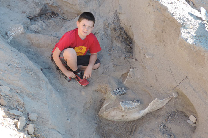 Boy Discovers Million-Year-Old Fossil By Tripping Over It Boy Discovers Million-Year-Old Fossil By Tripping Over It