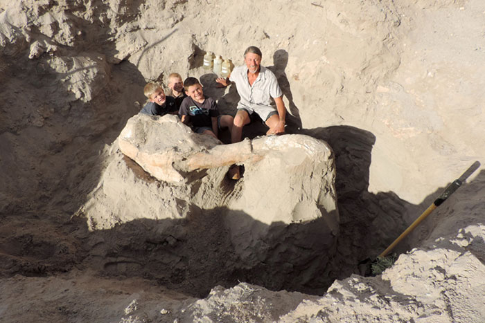 Boy Discovers Million-Year-Old Fossil By Tripping Over It Boy Discovers Million-Year-Old Fossil By Tripping Over It