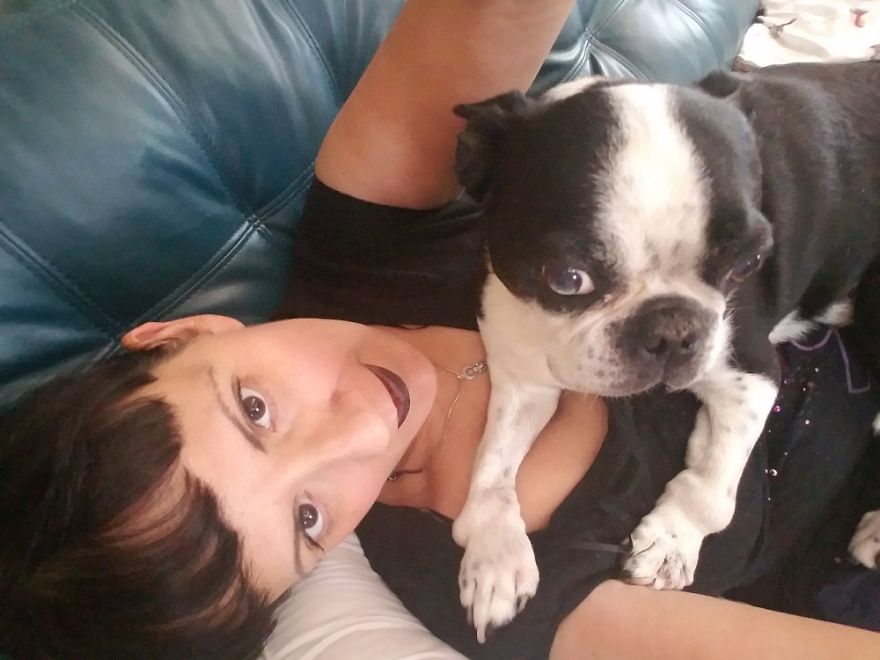 Henry..my 10 Year Old Boston Terrier. He's A Cancer Survivor,. He Has Severe Arthriitis.