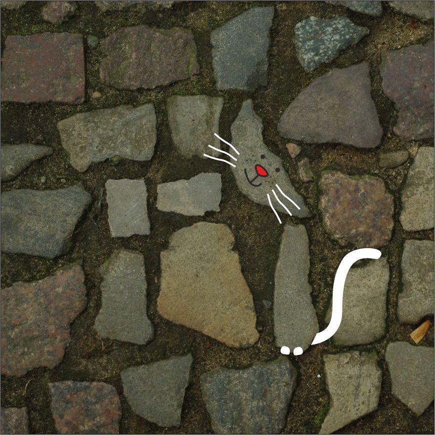 Illustration Project To Help Stray Cats