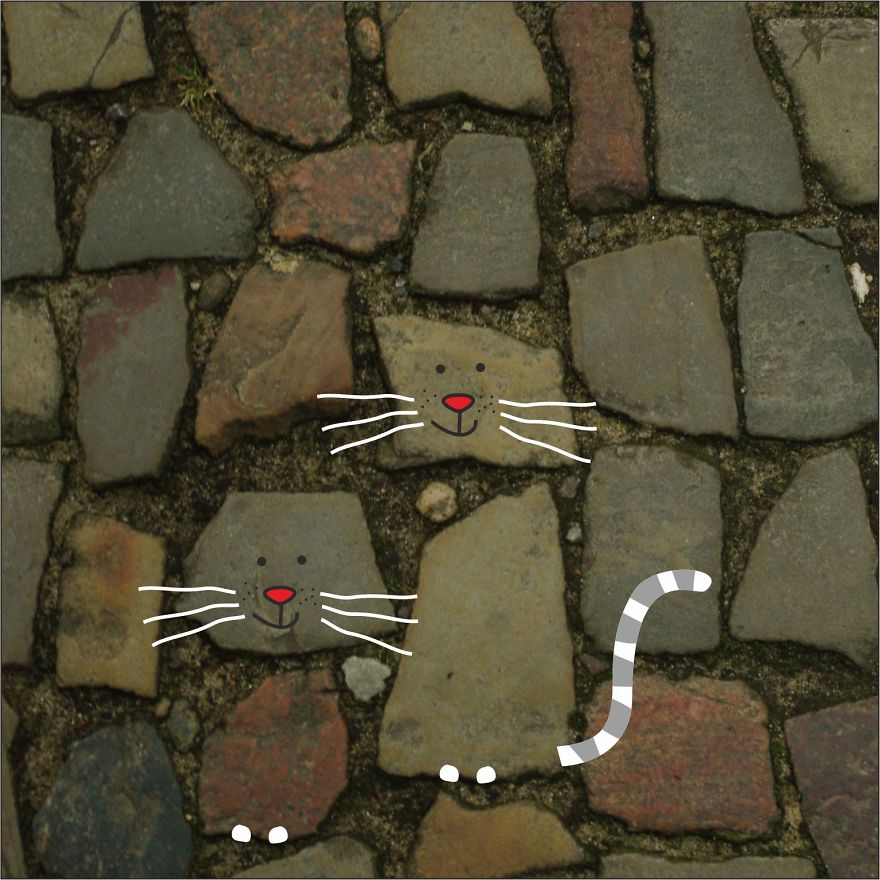 Illustration Project To Help Stray Cats