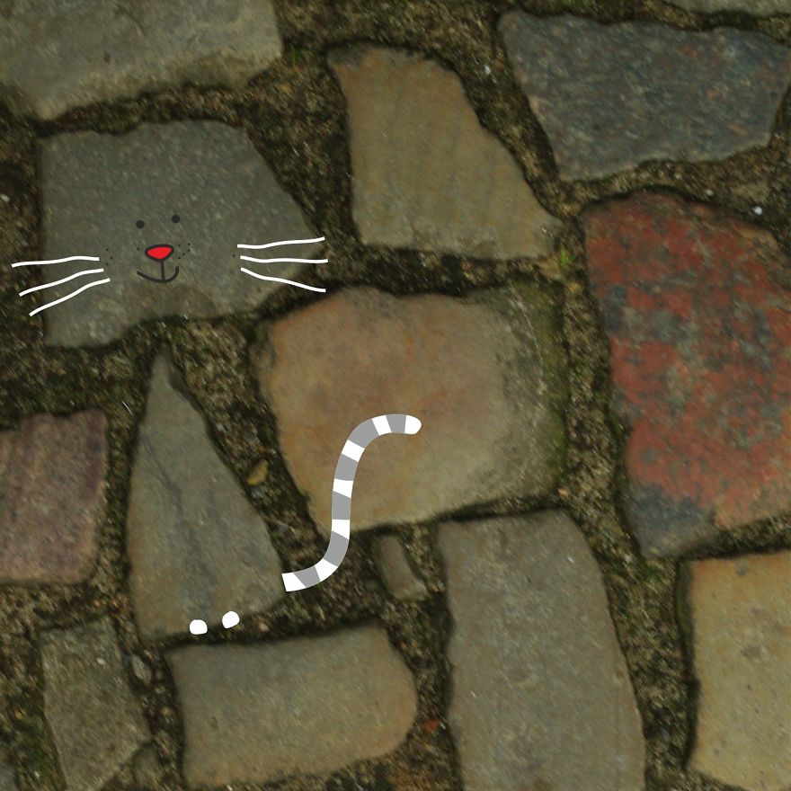 Illustration Project To Help Stray Cats