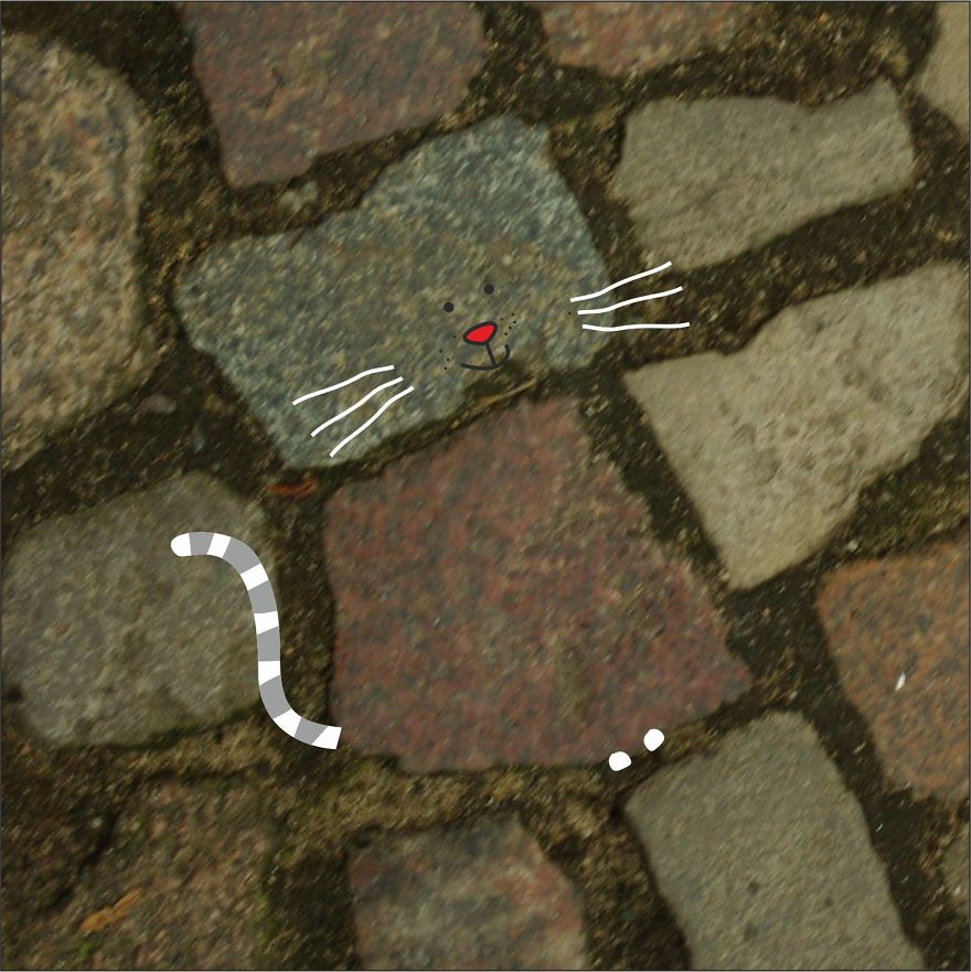 Illustration Project To Help Stray Cats