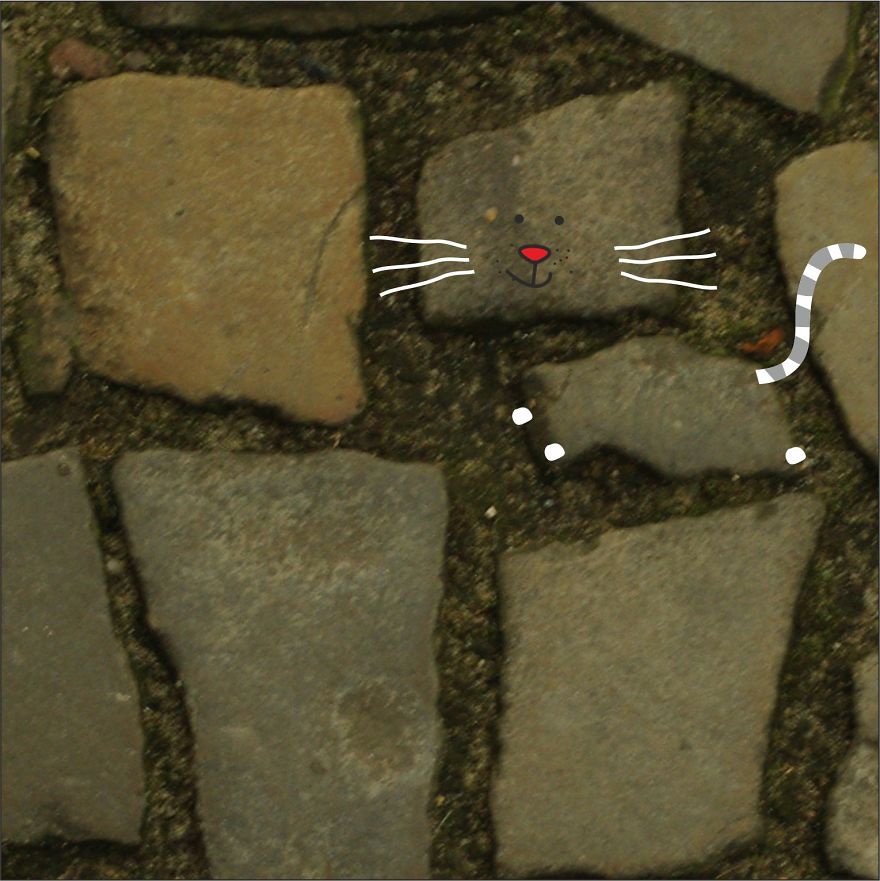 Illustration Project To Help Stray Cats