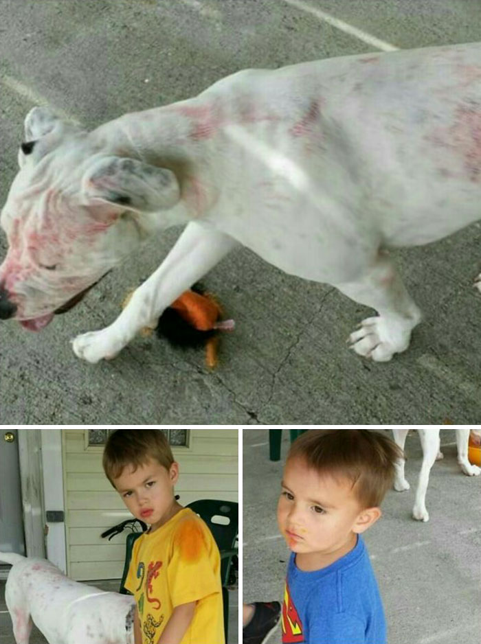 Found Ghost, Thought It Was Blood, Remembered I Just Gave The Kids Juice. I Was Making Lunch