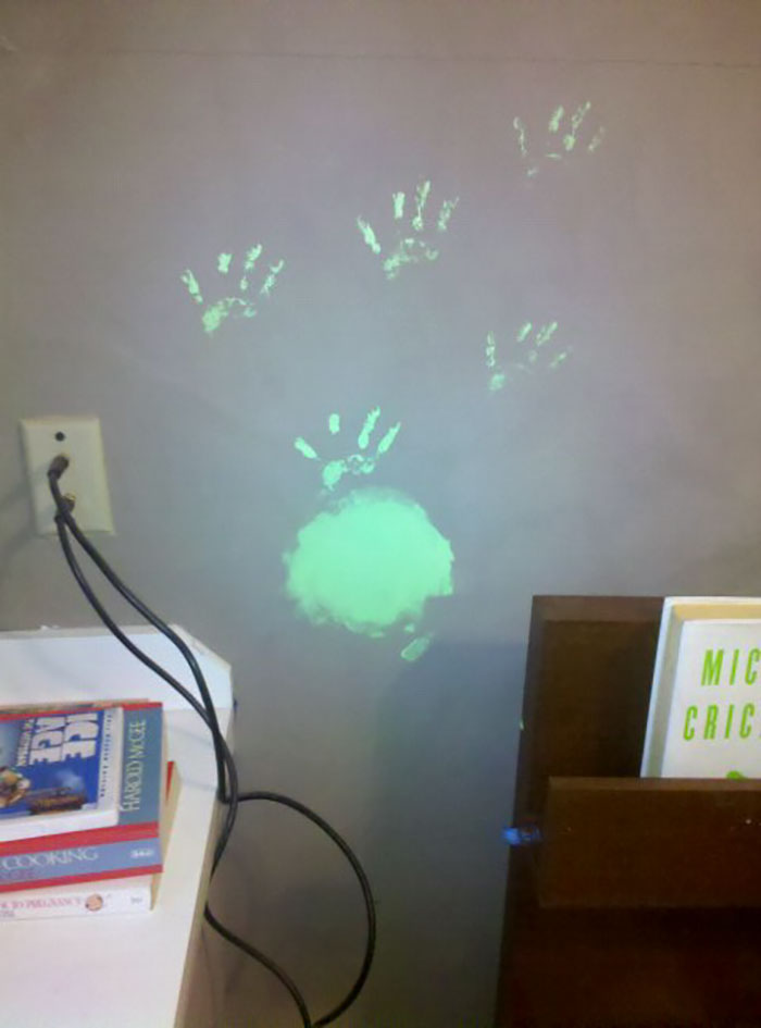 The Friendly Frog Green Paint Looked So Great On The Kids’ Bedroom Wall, They Decided To Add A Few Touch Ups To Our Bedroom Wall