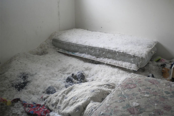 My 7 Year-Old Decided He Needed To Know What Was Inside His Overstuffed Feather Pillow