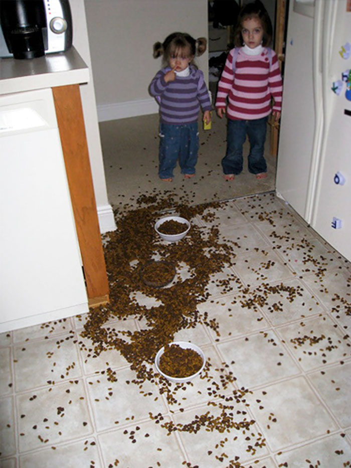 Feeding The Dog While Mama Slept… The Beagle Had Eaten So Much, She Stopped Eating, Which For A Beagle, Is Almost Unheard Of