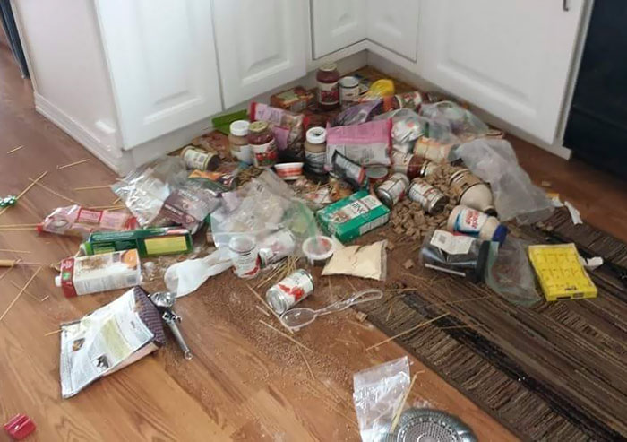 This Is Why I Don't Like It When My Kids Are Quiet