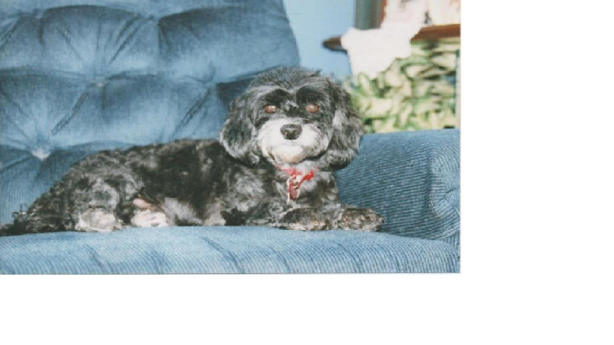 Chiquitica 15 Years Old Miami, Florida