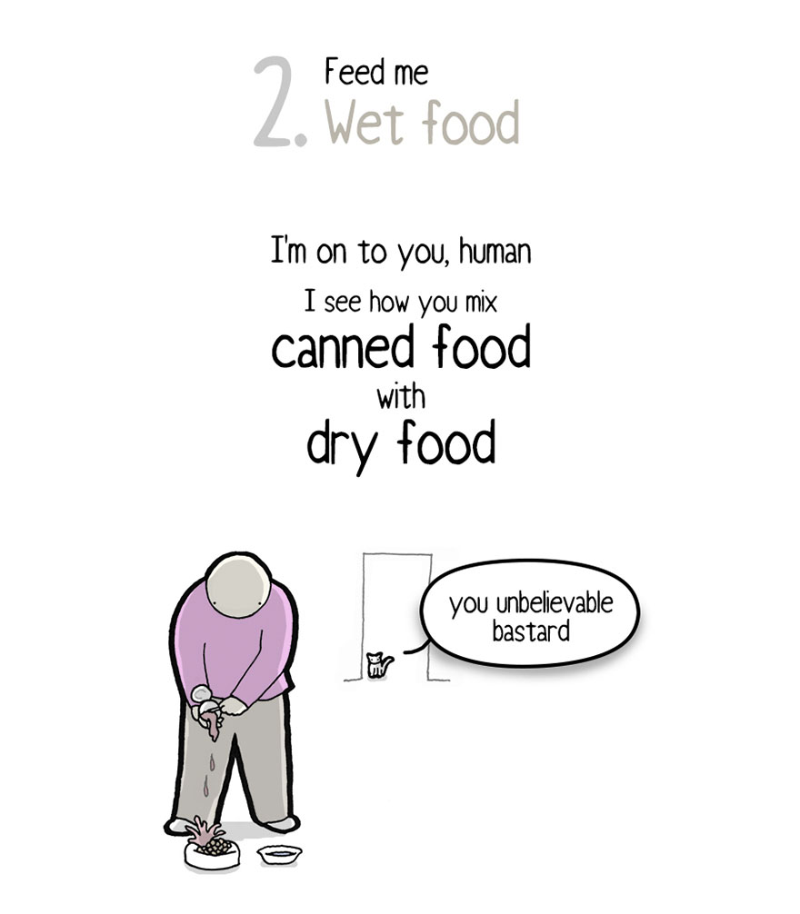 Your Cat Has Written You A Letter, And You Must Read It