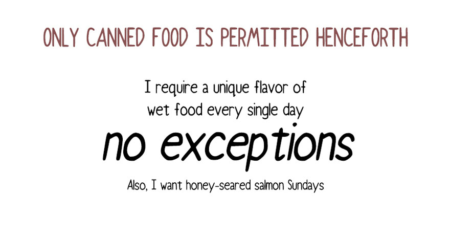 Your Cat Has Written You A Letter, And You Must Read It