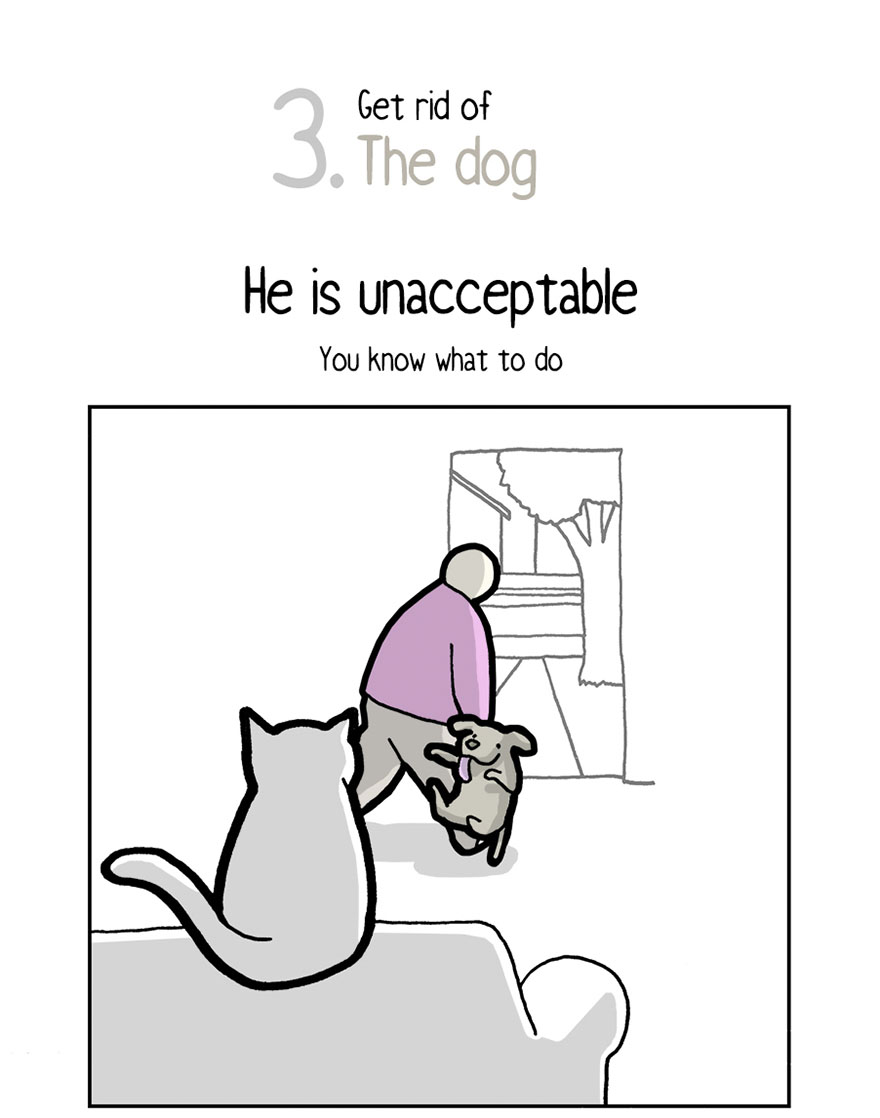 Your Cat Has Written You A Letter, And You Must Read It