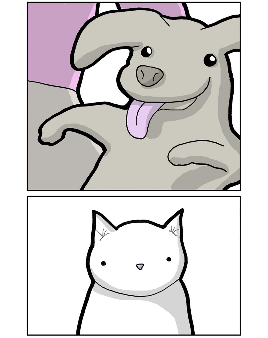 Your Cat Has Written You A Letter, And You Must Read It