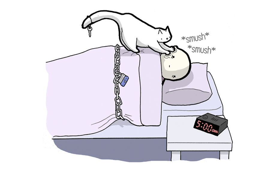 Your Cat Has Written You A Letter, And You Must Read It