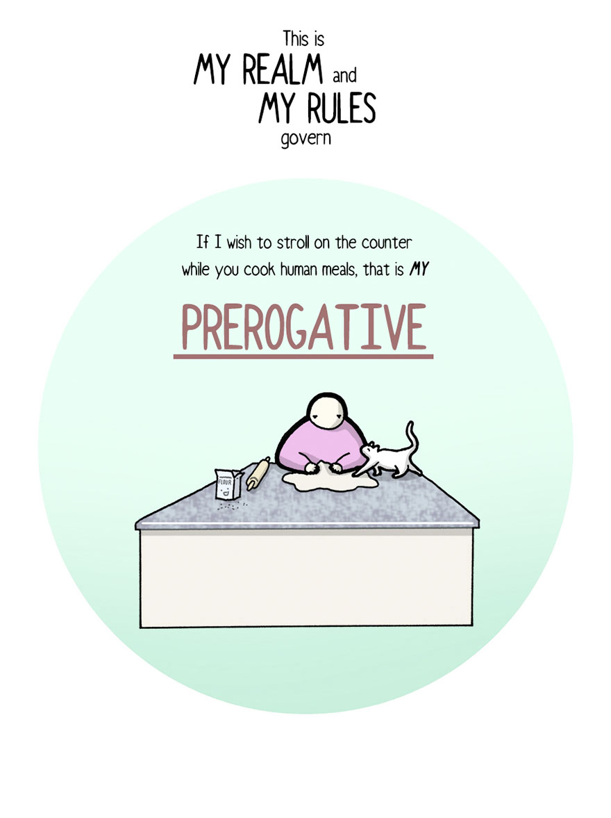 Your Cat Has Written You A Letter, And You Must Read It