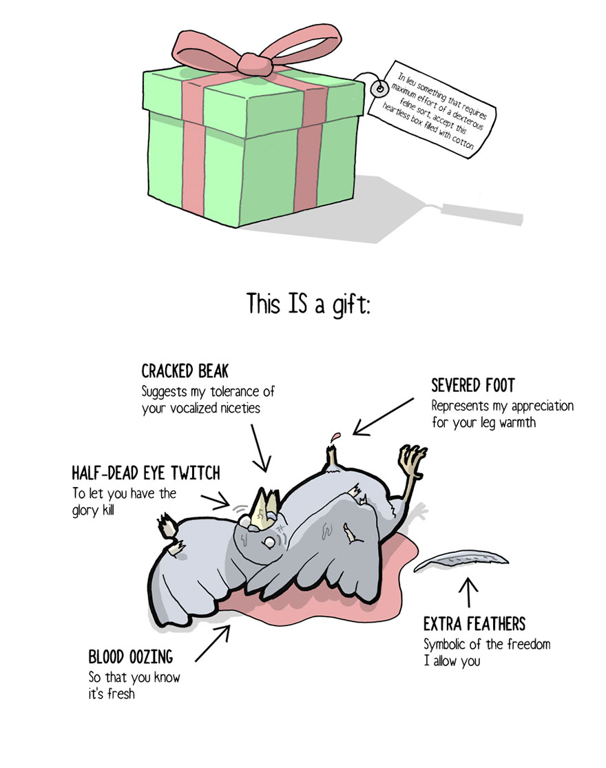 Your Cat Has Written You A Letter, And You Must Read It