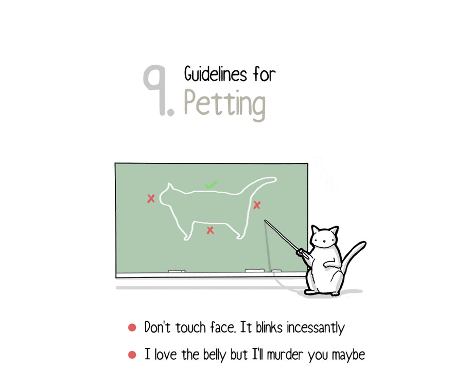 Your Cat Has Written You A Letter, And You Must Read It