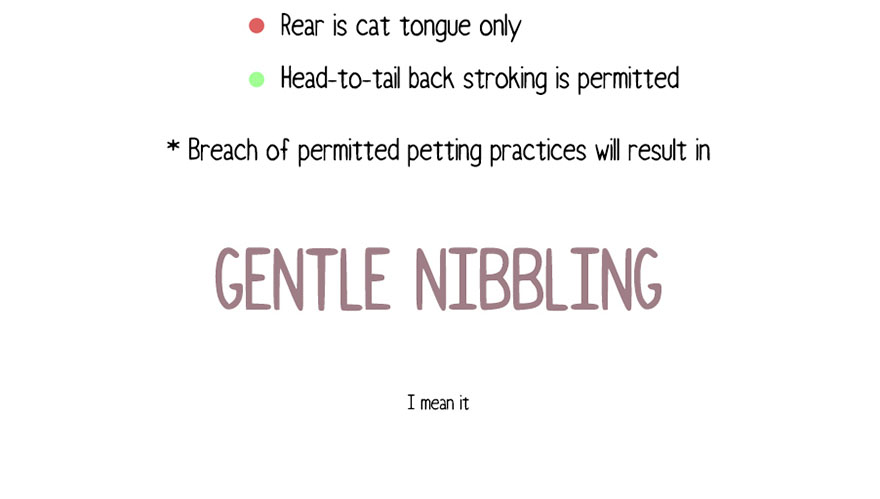 Your Cat Has Written You A Letter, And You Must Read It