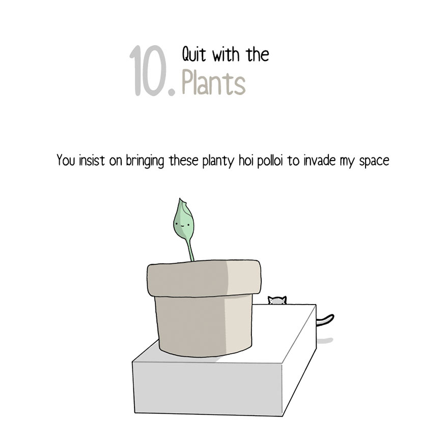 Your Cat Has Written You A Letter, And You Must Read It