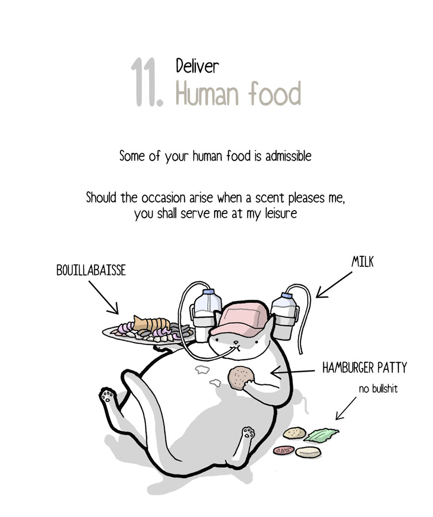 Your Cat Has Written You A Letter, And You Must Read It