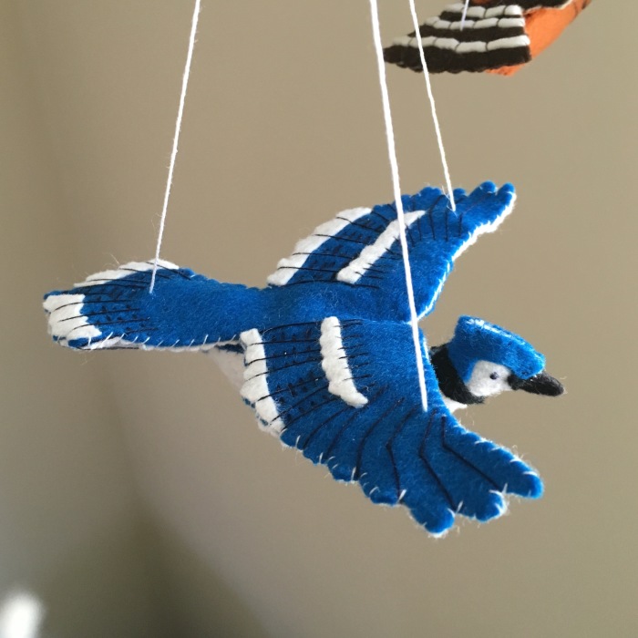 I Found My Feet In Canada And These Birds Found Their Wings