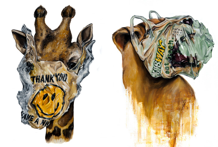 Plastic Bag Ban: My Series Of Paintings On Negative Effects Of Plastic Bags